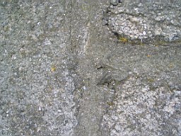 howthtower-1420.jpg