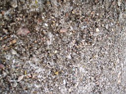 howthtower-1450.jpg