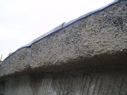 howthtower-1774.jpg