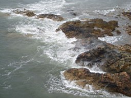 howthtower-1784.jpg