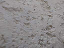 killeencastle-15540.jpg