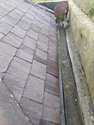 killeencastle-16240.jpg