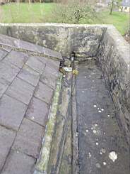 killeencastle-17240.jpg