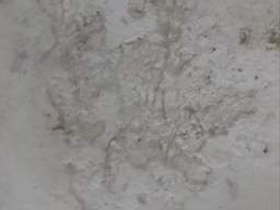 killeencastle-18260.jpg