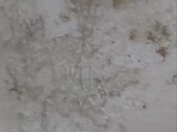 killeencastle-18280.jpg
