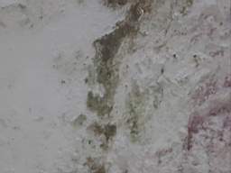 killeencastle-18520.jpg
