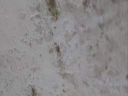 killeencastle-18540.jpg