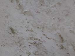 killeencastle-18560.jpg