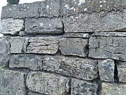 killeencastle-21560.jpg