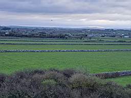 killeencastle-21640.jpg