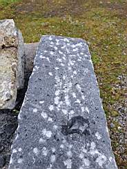 killeencastle-21880.jpg