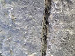 killeencastle-25940.jpg