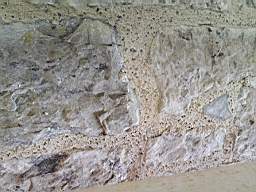 killeencastle-26820.jpg
