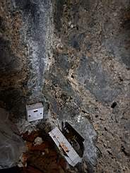 killeencastle-41840.jpg