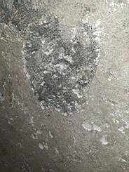 killeencastle-52760.jpg
