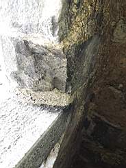 killeencastle-53010.jpg