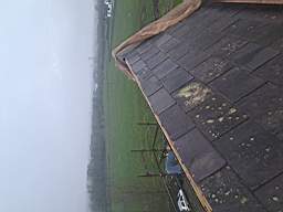 killeencastle-53970.jpg