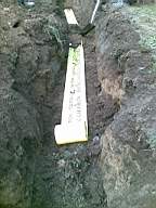 knockduff 10100.jpg