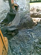 knockduff 10135.jpg