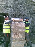 knockduff 10140.jpg