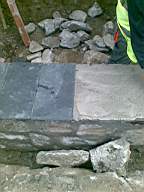 knockduff 10150.jpg