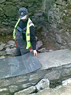 knockduff 10155.jpg