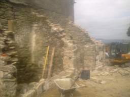 knockduff 10315.jpg