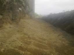 knockduff 10320.jpg