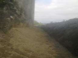 knockduff 10325.jpg