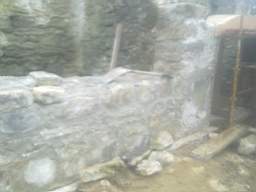knockduff 10370.jpg