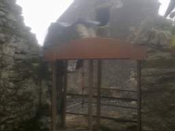 knockduff 10560.jpg