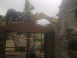knockduff 10570.jpg