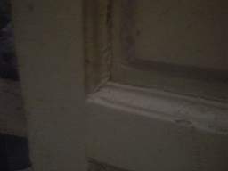 knockduff 10720.jpg
