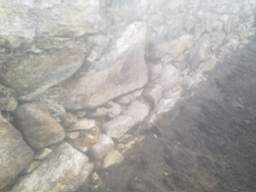 knockduff 10820.jpg