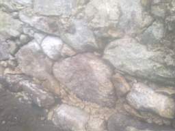 knockduff 10825.jpg