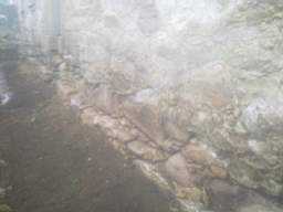 knockduff 10835.jpg