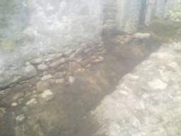 knockduff 10860.jpg
