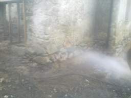 knockduff 10895.jpg