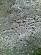 knockduff 10950.jpg