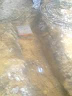 knockduff 10990.jpg