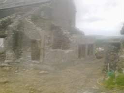 knockduff 11060.jpg