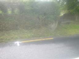 knockduff 11100.jpg