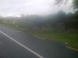 knockduff 11105.jpg