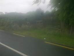 knockduff 11110.jpg