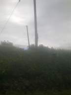 knockduff 11115.jpg