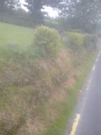 knockduff 11130.jpg