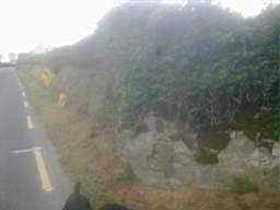 knockduff 11140.jpg