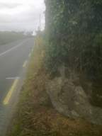 knockduff 11150.jpg