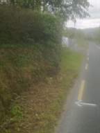knockduff 11160.jpg