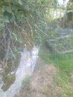 knockduff 11170.jpg